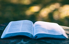 成人高考本科录取分数线线是多少？需要去学校读书吗？